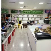 朝阳 深圳克利克